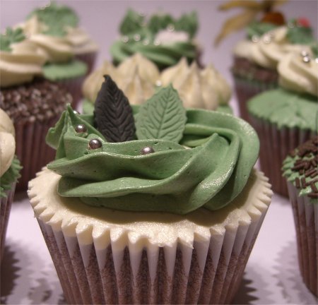 magic cupcakes